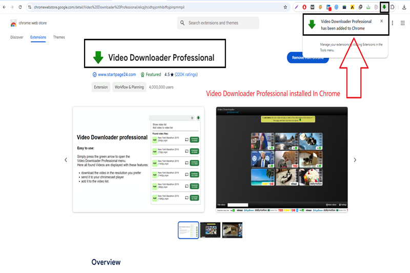 Add to Chrome Video Dwonload Professional