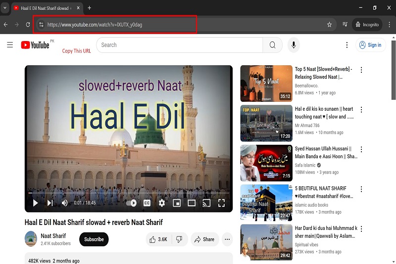 Copy Youtube Video URL for Downloading Video From IDM